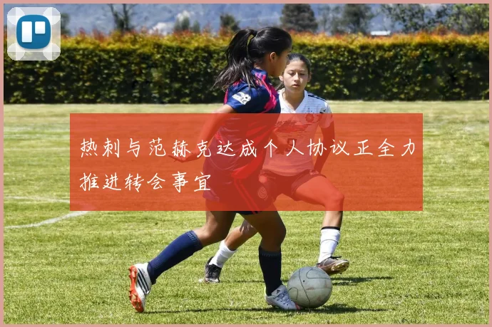 热刺与范赫克达成个人协议正全力推进转会事宜